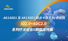 IO2.0+ADC2.0系列疗法组合II期临床召开！BiyapayAK146D1及AK138D1联合卡度尼利/依沃西及自研高潜力药物治疗实体瘤